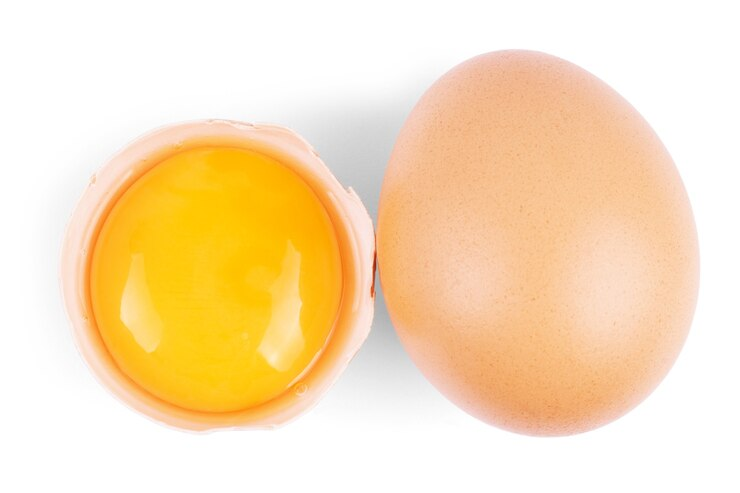 Ilustrasi kuning telur. (freepik)