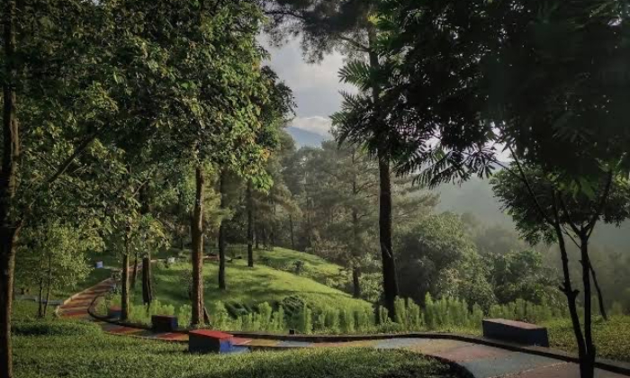Wisata Perkemahan Trijaya. (web/Wisata App)