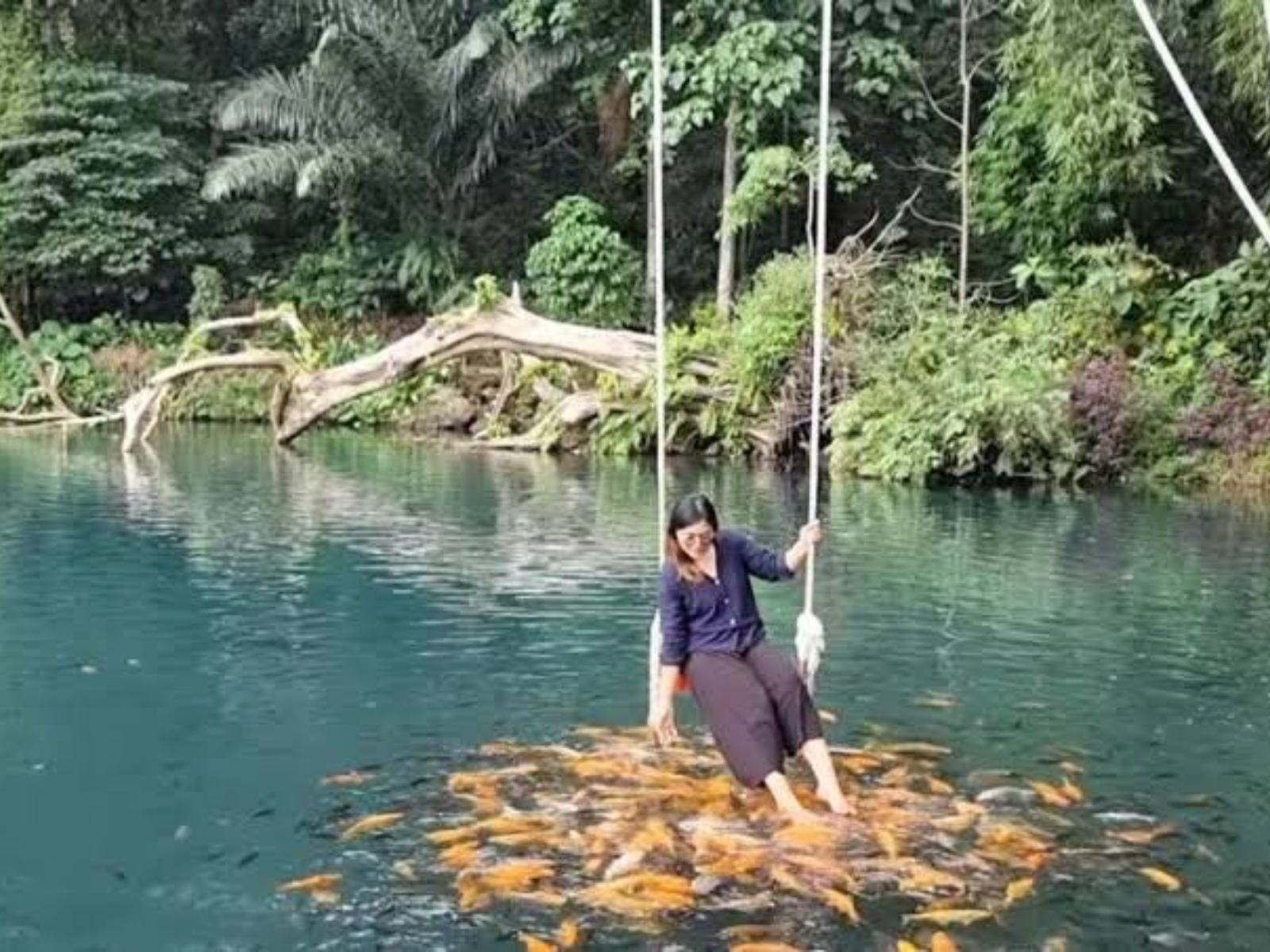 Situ Cipanten Majalengke (Dok. Traveloka)