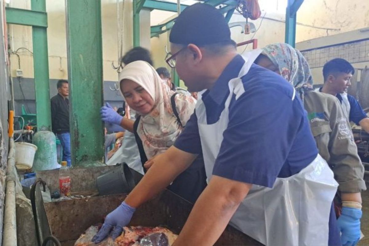 Petugas melakukan pemeriksaan daging kurban di RPH Kota Cirebon. (Fathnur Rohman/Antara)