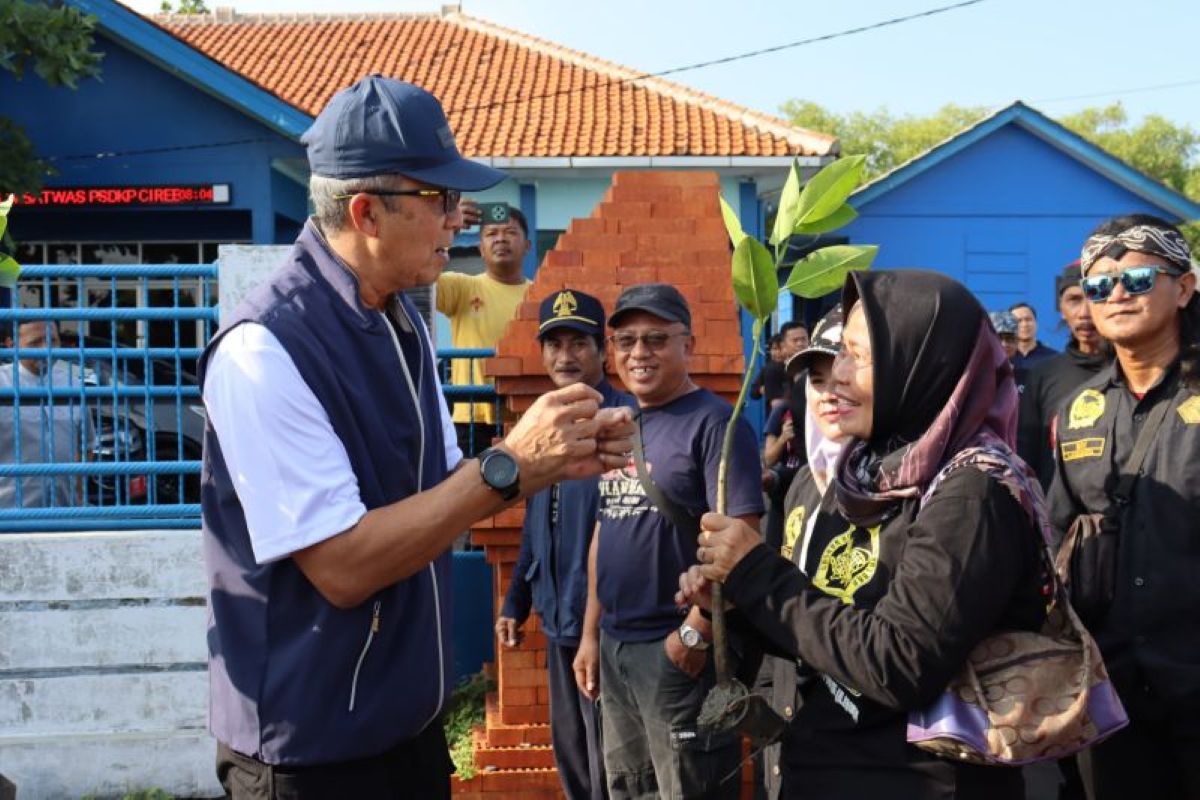 Sekda Kota Cirebon Agus Mulyadi (kiri) menghadiri kegiatan penanaman mangrove di Pantai Kejawanan Cirebon. (Pemkot Cirebon/Antara)