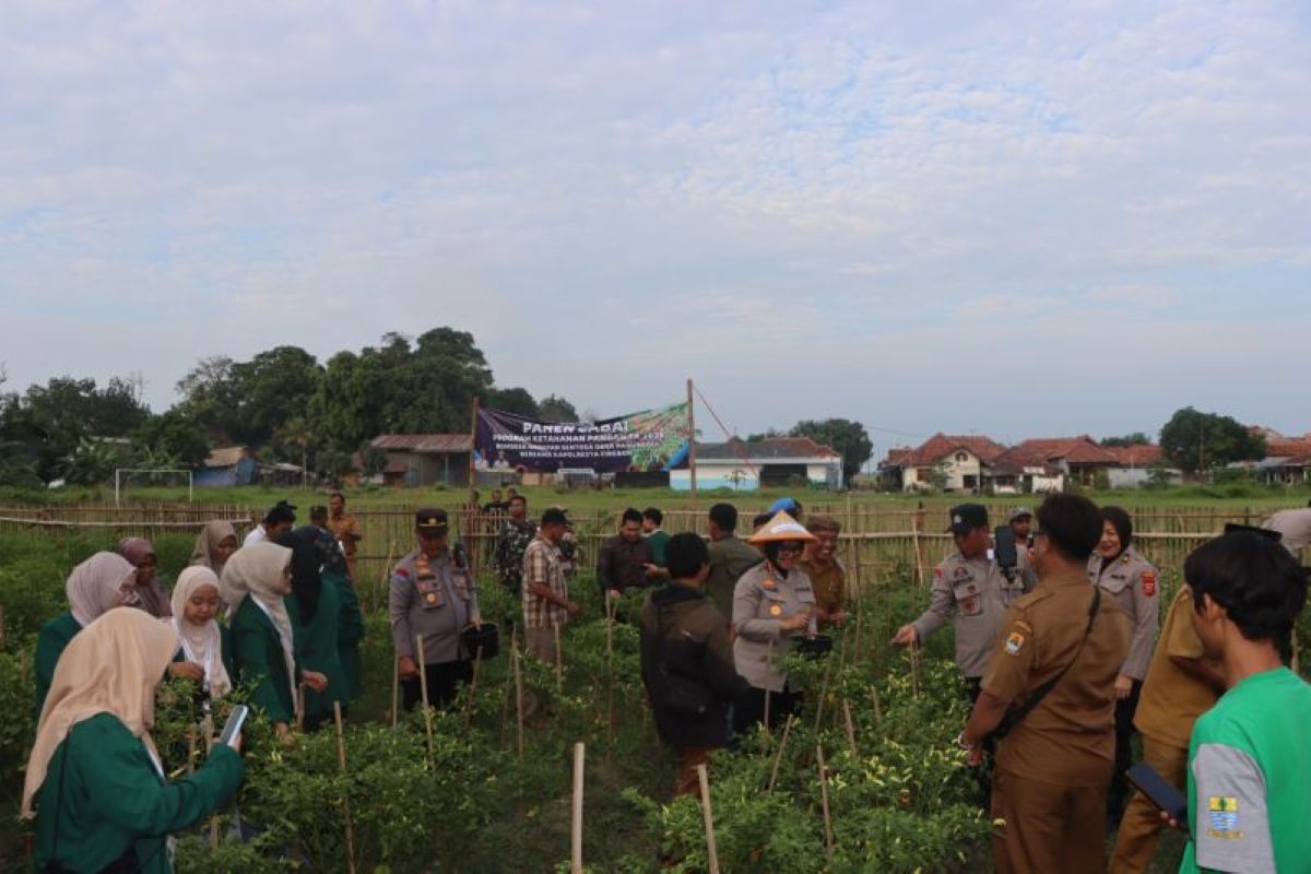 Polresta Cirebon bantu petani membudidayakan cabai dan ikan lele di Kecamatan Gegesik, Cirebon. (Polresta Cirebon/Antara)