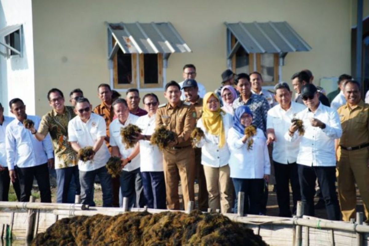 Pemkab Indramayu Sebut Budi Daya Rumput Laut Sebagai Potensi Ekonomi