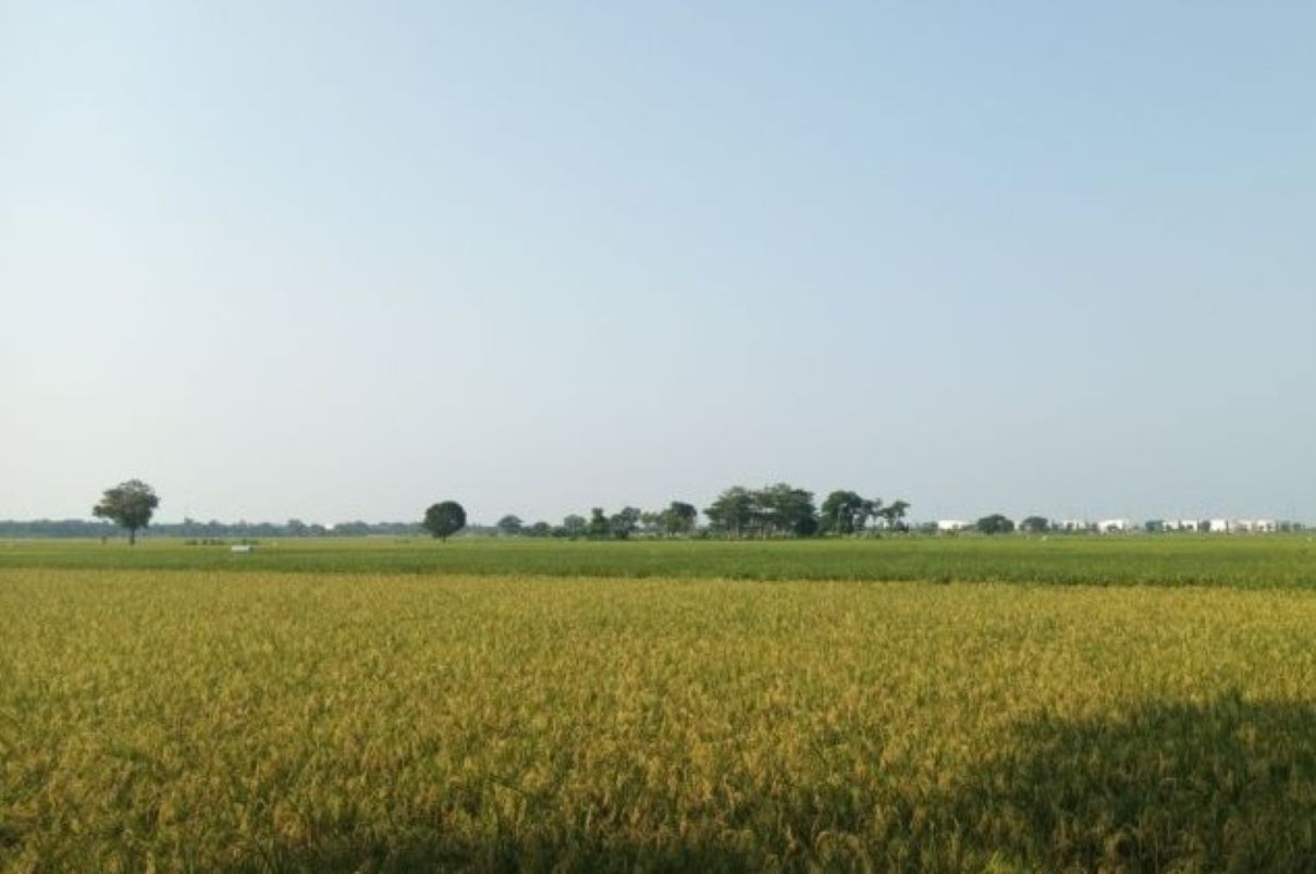 Pemkab Indramayu Catat Realisasi Investasi Capai Rp 362,3 Miliar