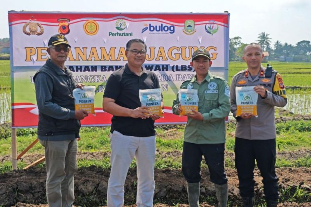 Polres Kuningan bersama Diskatan melaksanakan program perluasan tanam jagung hibrida di Desa Windujanten, Kecamatan Kadugede. (Diskatan Kuningan/Antara)