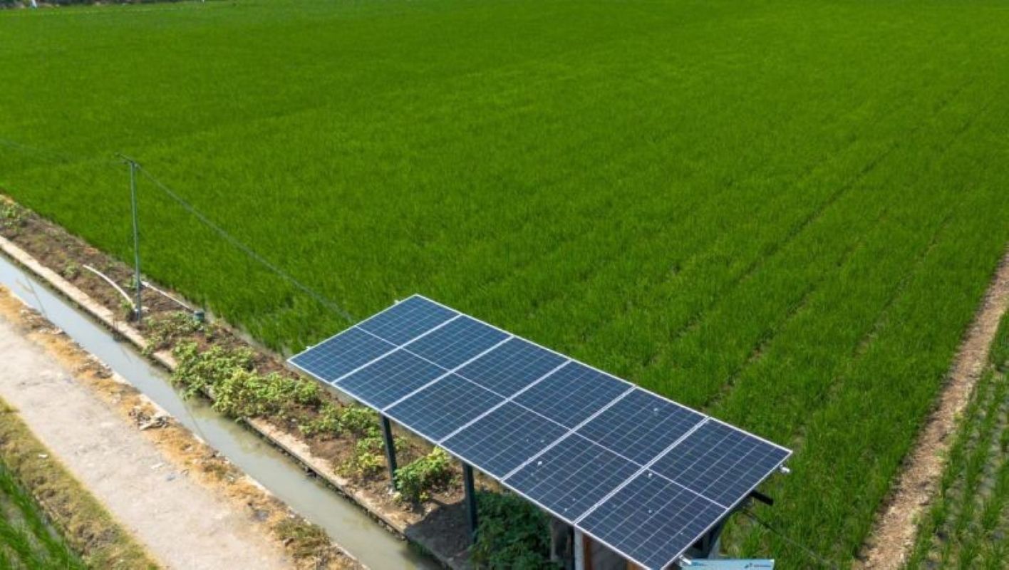 Lahan sawah di Indramayu. (Fathnur Rohman/Antara)