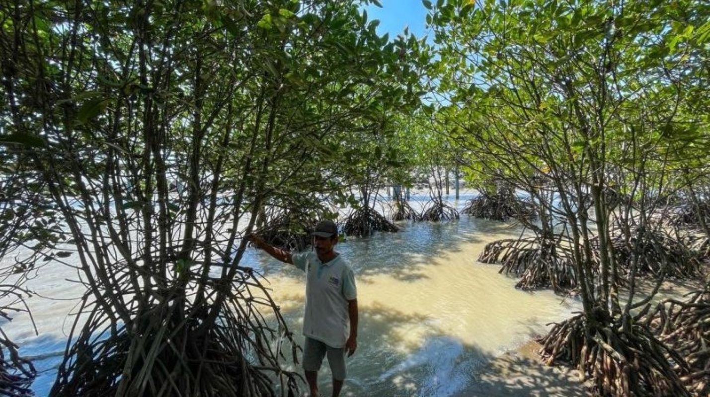 Kondisi wilayah pesisir di Indramayu. (Fathnur Rohman/Antara)