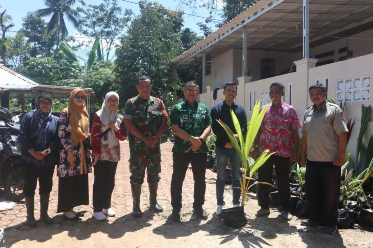 Pemkab Kuningan saat menyalurkan bibit kelapa genjah di Kuningan. (Pemkab Kuningan/Antara)