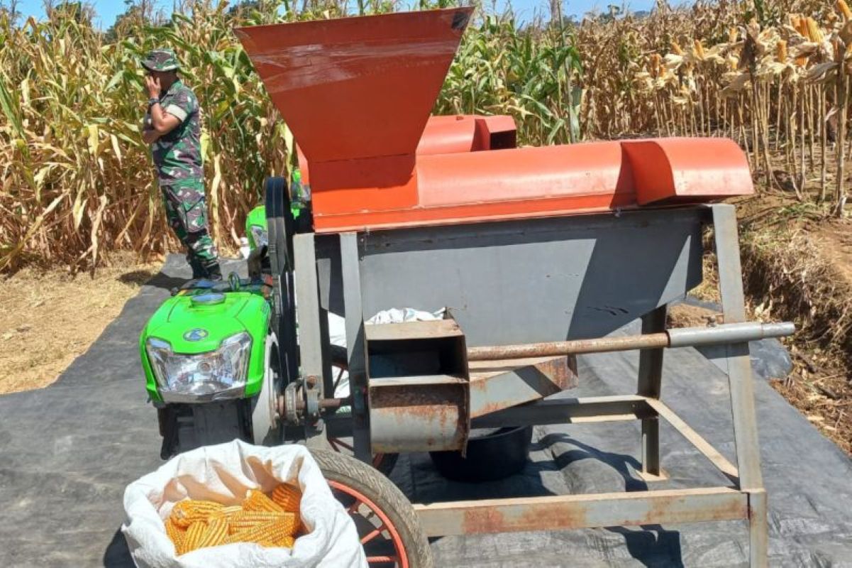 Ilustrasi panen jagung di Majalengka. (Pemkab Majalengka/Antara)