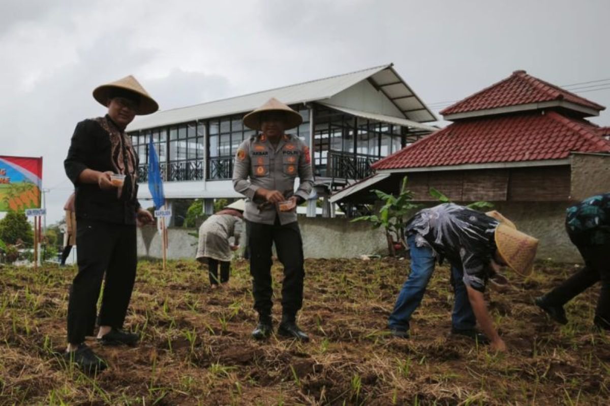 Pemkab Kuningan bersama kepolisian melaksanakan program penanaman jagung. (Diskatan Kuningan/Antara)