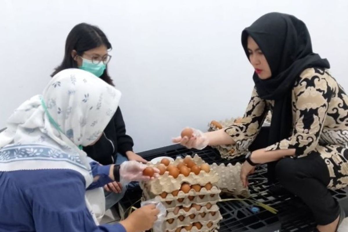 Petugas melaksanakan pengawasan bahan pangan untuk program MBG di Kota Cirebon. (Fathnur Rohman/Antara)