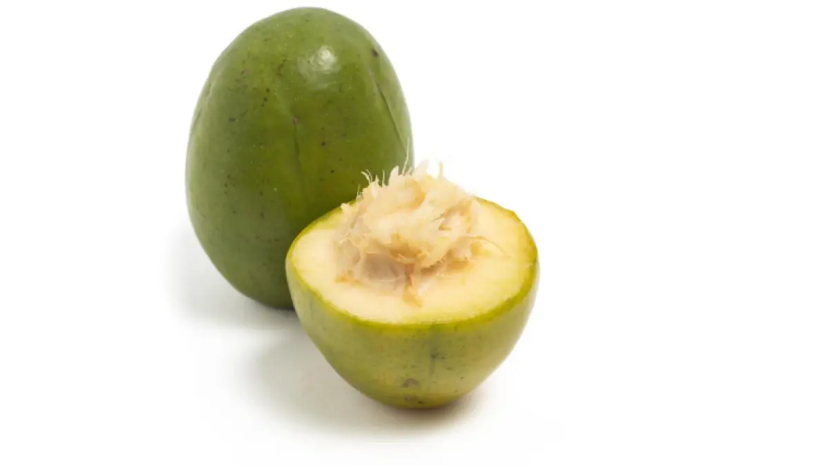 Ilustrasi buah kedondong (Dok. Freepik) 
