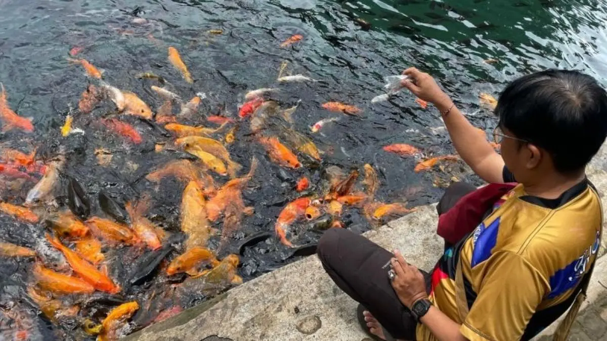 Wisatawan di Situ Cipanten Majalengka. (Fathnur Rohman/Antara)