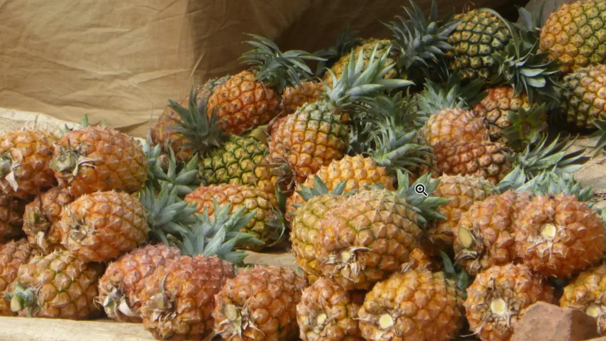 Buah nanas (Pexels) 