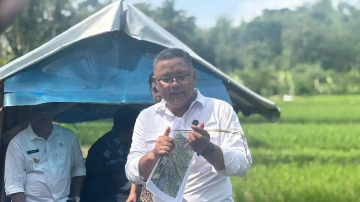 Kepala Diskatan Kuningan Wahyu Hidayah memberikan edukasi kepada petani terkait pengendalian hama berbasis ekosistem. (Antara)