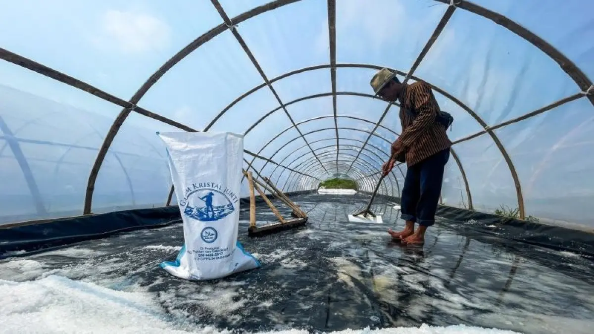 Petani garam memanen garam kristal di Desa Juntinyuat, Indramayu. (Fathnur Rohman/Antara)