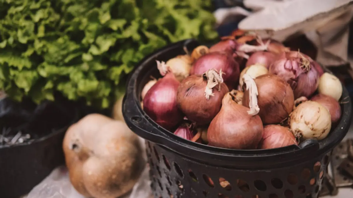 Bawang bombai mendukung kesehatan hati (Pexels) 