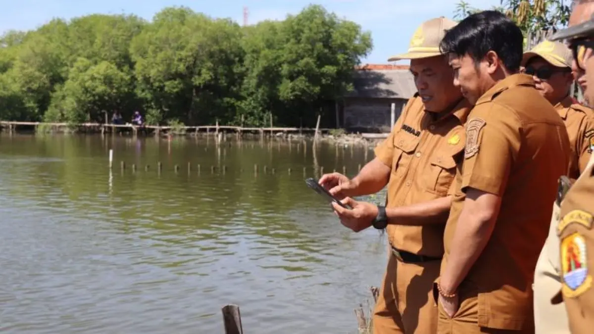 Pemkab Cirebon lakukan peninjauan di pesisir Desa Ambulu, Kecamatan Losari. (Pemkab Cirebon/Antara)
