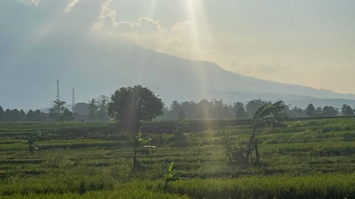 Pemkab Kuningan Lakukan Program Optimalisasi Lahan 725 Hektare pada 2026