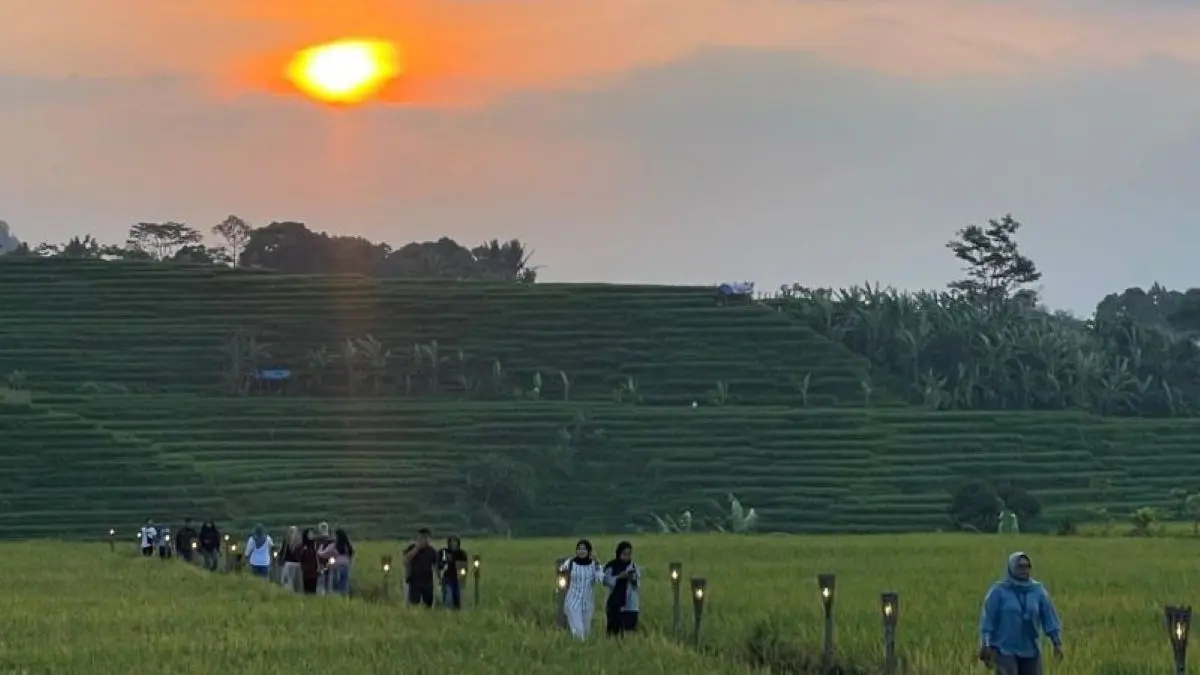 Kondisi lahan pertanian di Majalengka. (Fathnur Rohman/Antara)