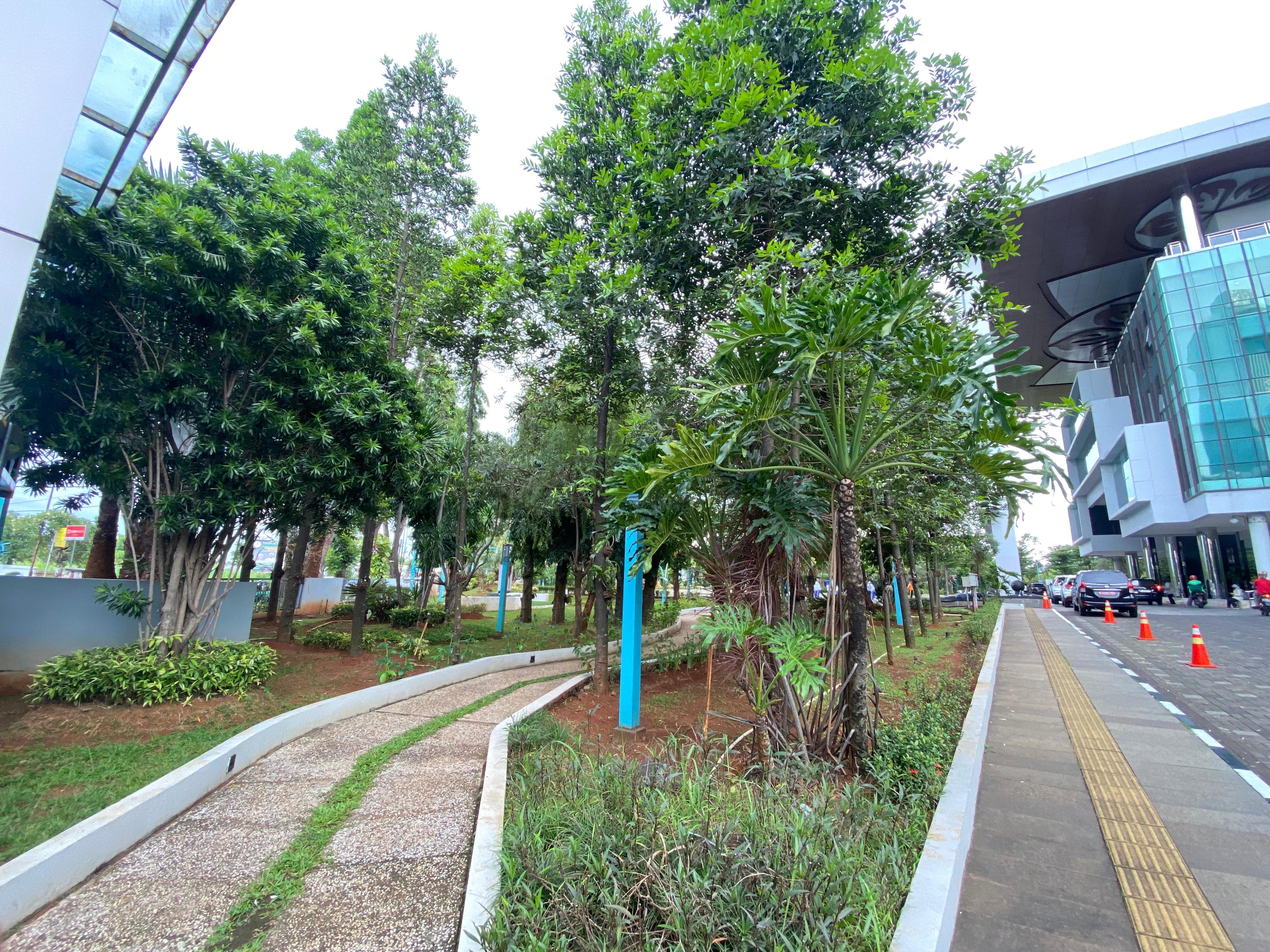 RTH DI TANGSEL : Ruang Terbuka Hijau (RTH) yang berada di kawasan Puspemkot Tangsel, Ciputat, Rabu (15/1).