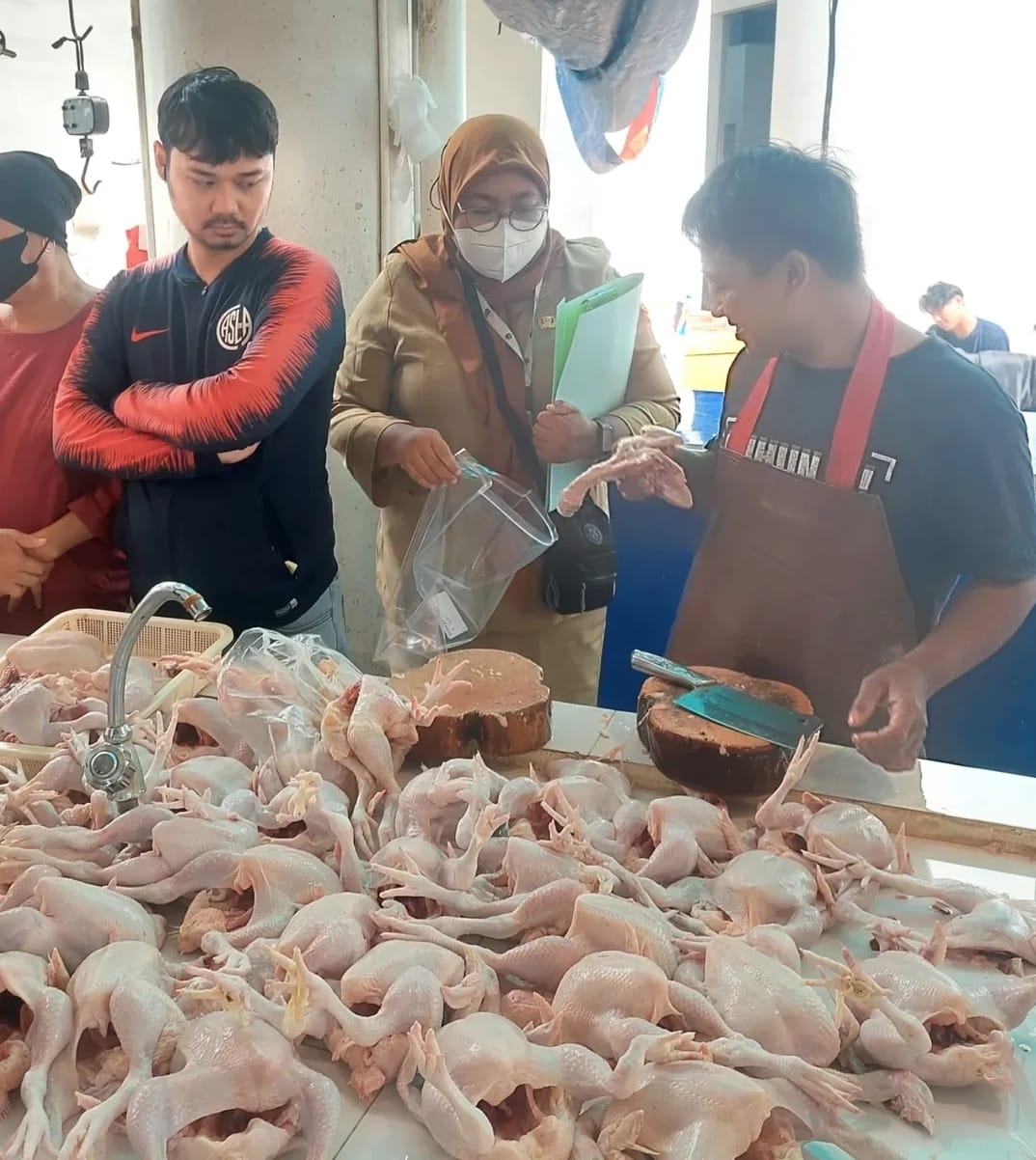 Tip Memilih Ayam Segar Ala Sudin KPKP Jakarta Selatan