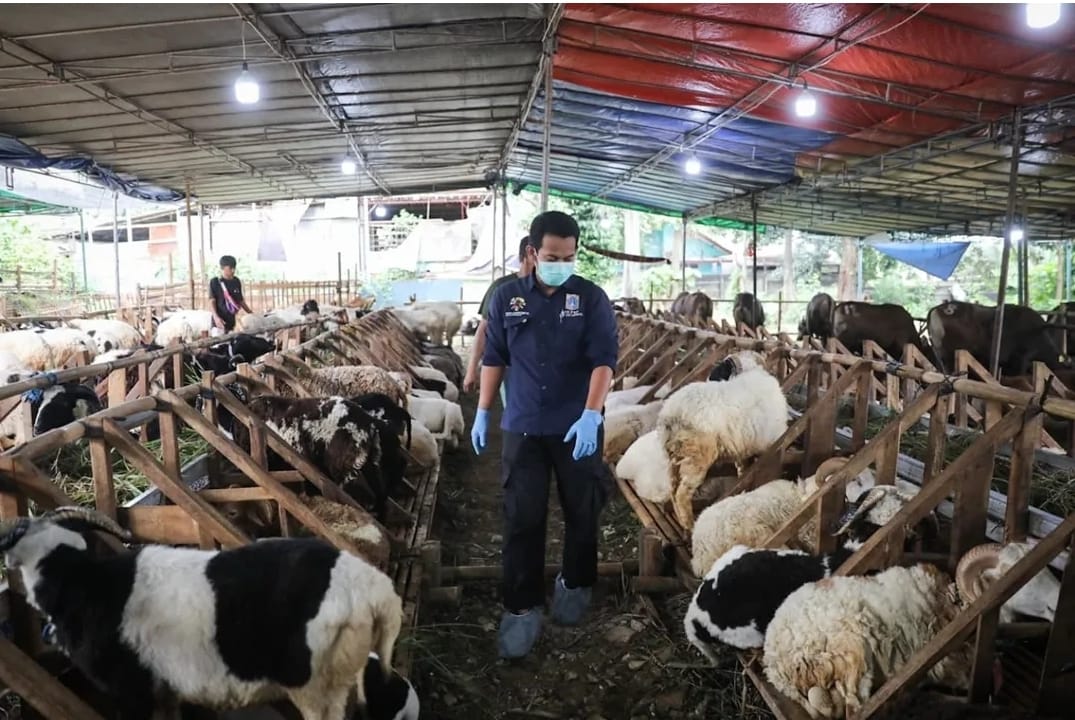 Petugas Sudin KPKP Jakarta Barat mengawasi hewan yang akan dikorbankan di kawasan Kebon Jeruk, Jakbar.