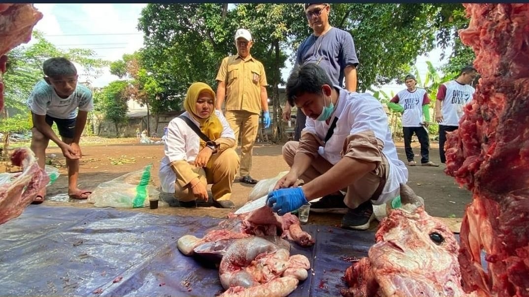 Petugas KPKP Jakarta Timur Musnahkan Hati-Paru Daging Kurban Tak Layak Konsumsi