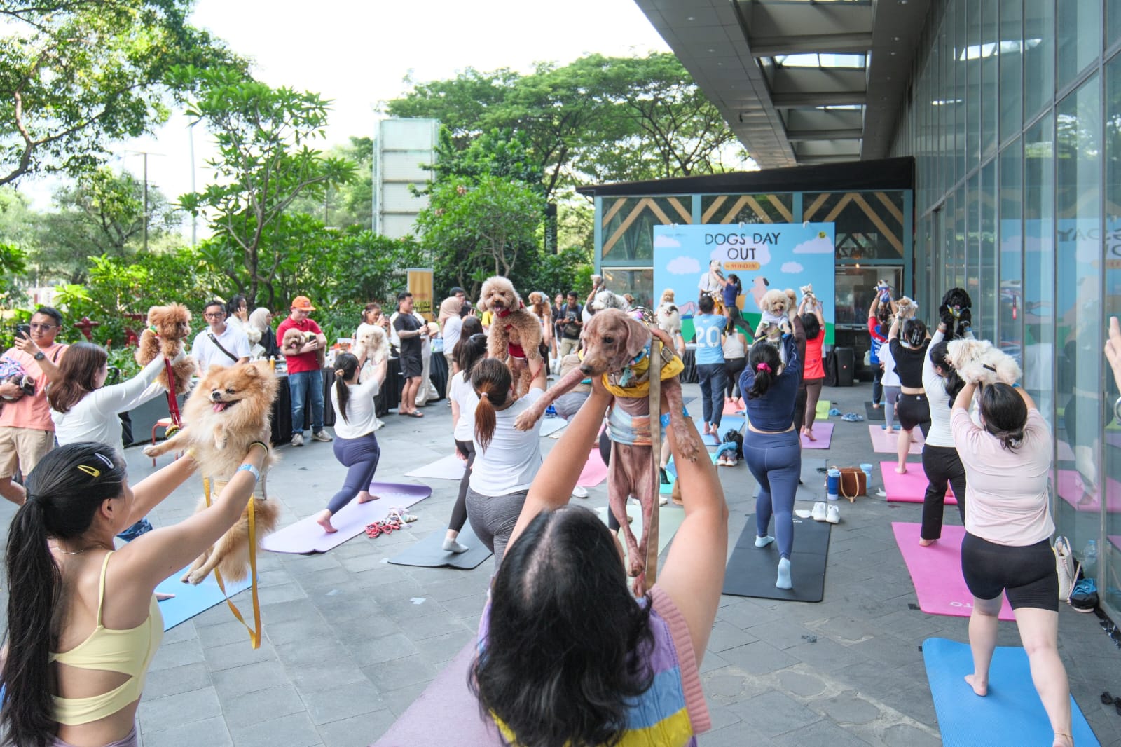 Yoga dan Painting with Dog, Cara Baru Rayakan Gaya Hidup Sehat