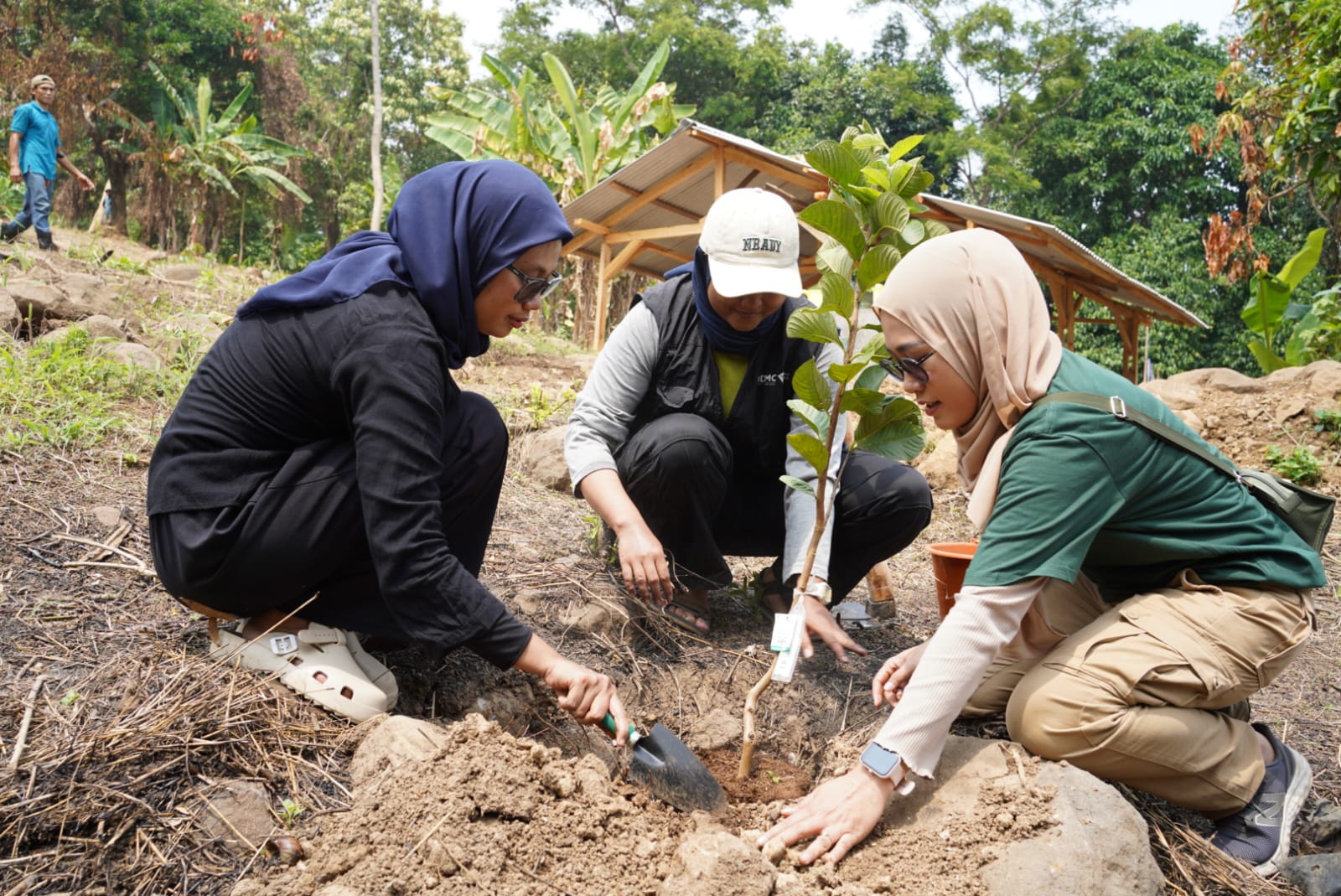 DMC Dompet Dhuafa Gulirkan Program Sedekah Pohon, Tanam 150 Pohon Produktif di Lahan Pondok Pesantren Al Ihsan Anyer