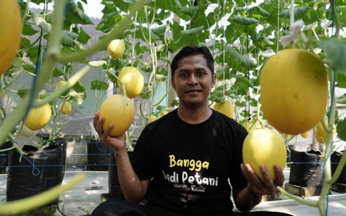 Samsul menekuni budi daya melon hidroponik melalui program pemberdayaan zakat yang disalurkan oleh Dompet Dhuafa.