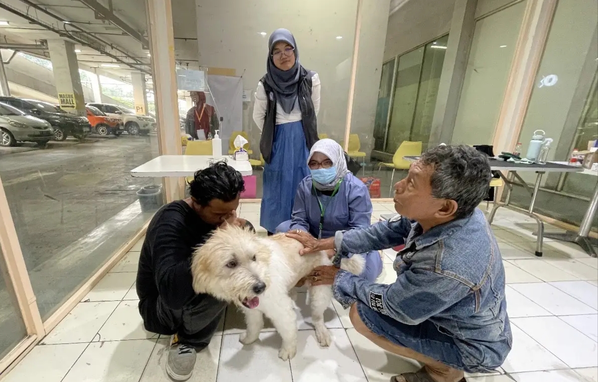 Pemberian vaksin kepada hewan di Kota Depok.