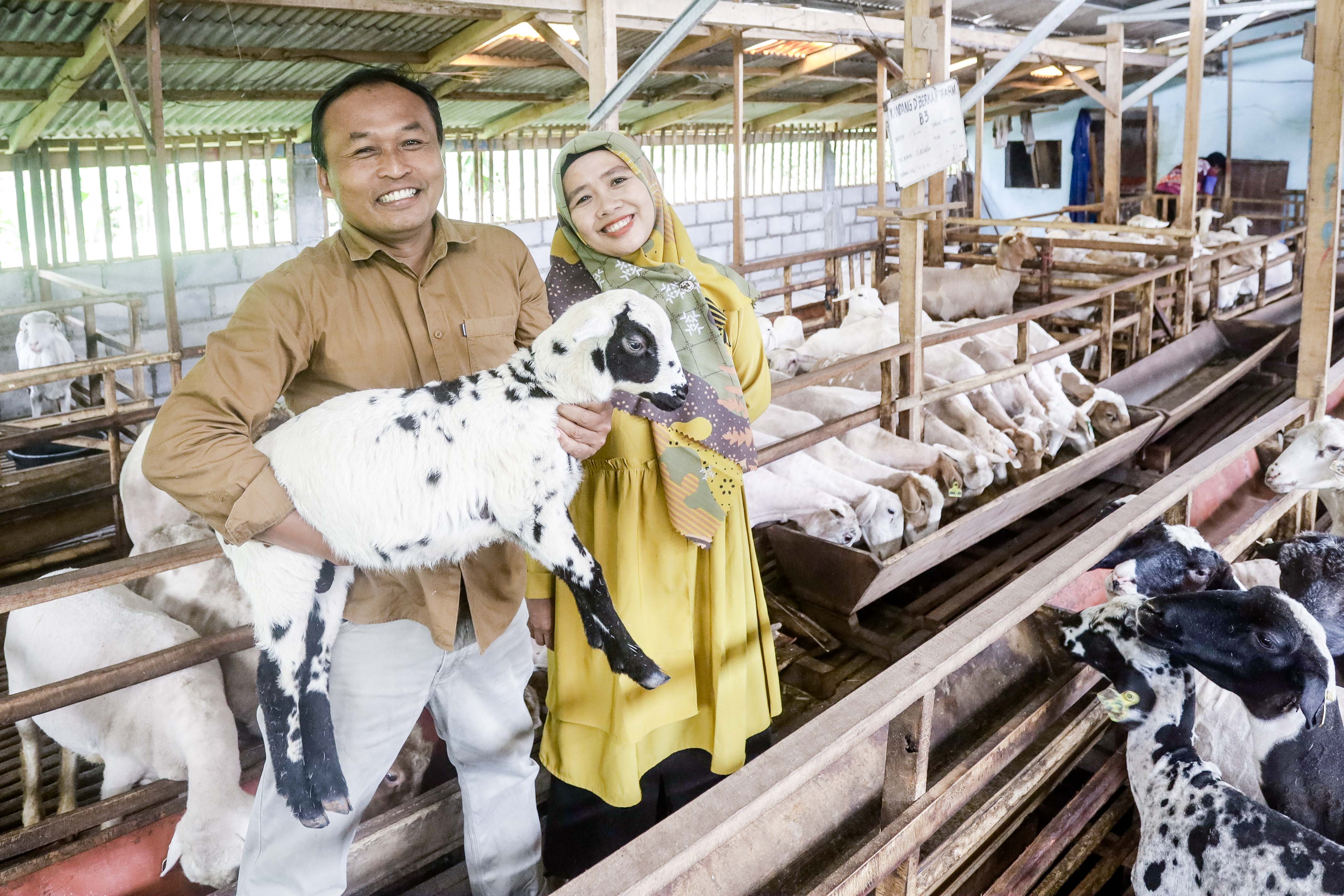 Didik Suhartono dan istri, Aries Haryani, mengelola peternakan domba dorper yang terletak di Kabupaten Malang. Dari 300 domba, kini sudah bertambah menjadi 1.000 ekor domba.