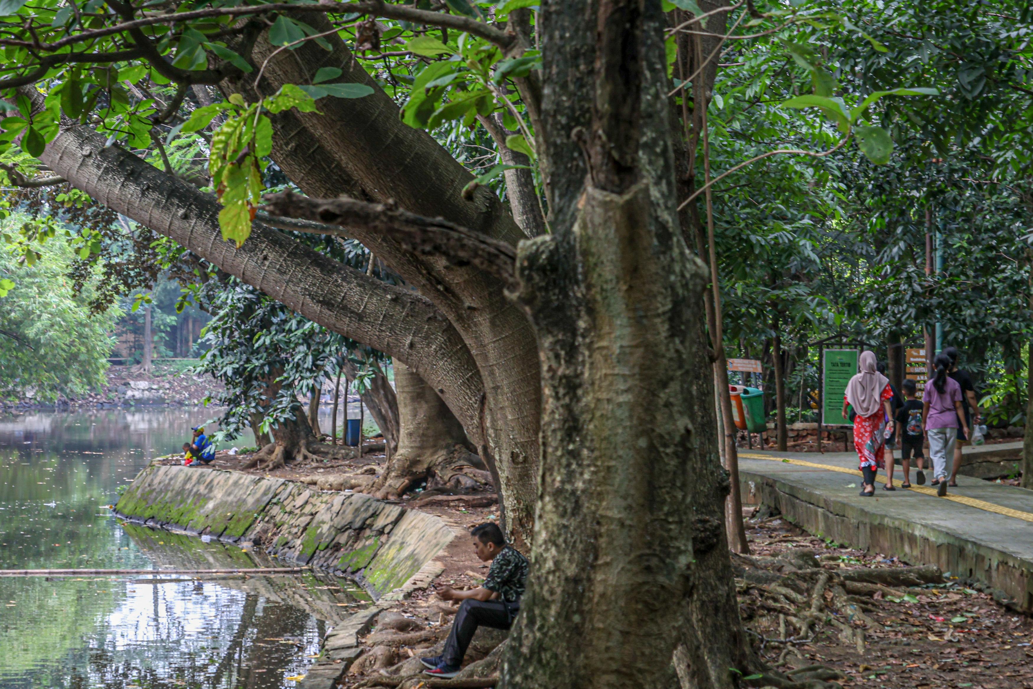 Hutan Kota Srengseng