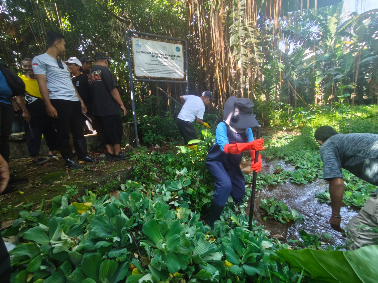 Wakil Wali Kota Depok Chandra Rahmansyah bersama Wakil Ketua DPRD Depok Yeti Wulandari dan Kementerian Lingkungan Hidup membersihkan Setu Gadog.
