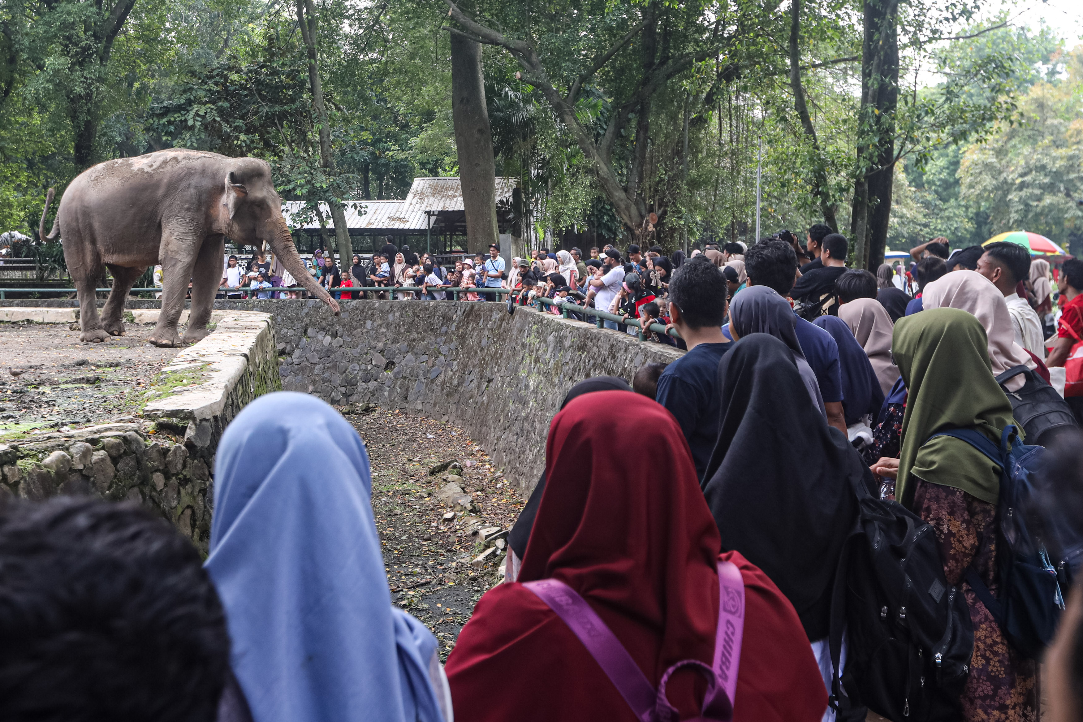 Pengunjung berduyun-duyun melihat hewan gajah saat berlibur di Taman Margasatwa Ragunan, Jakarta Selatan.