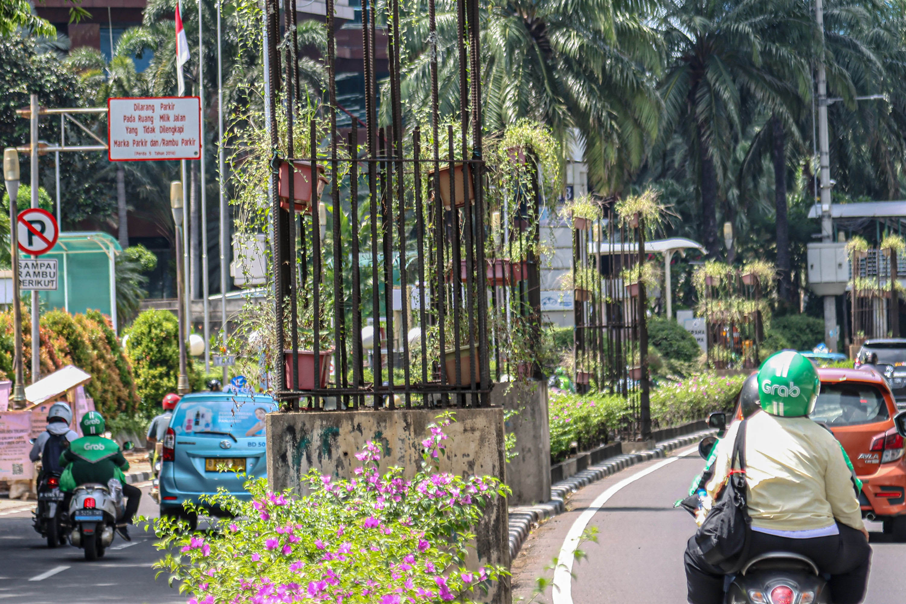 Sejumlah tiang monorel digunakan sebagai vertikal garden di Jalan Rasuna Said, Jakarta Selatan.