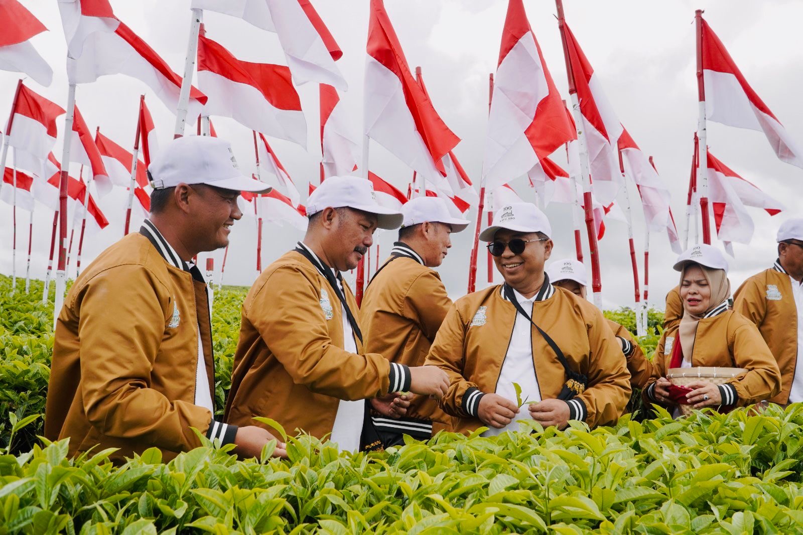 Kebun Teh Kayu Aro, Kerinci, memasuki usia 100 tahun.