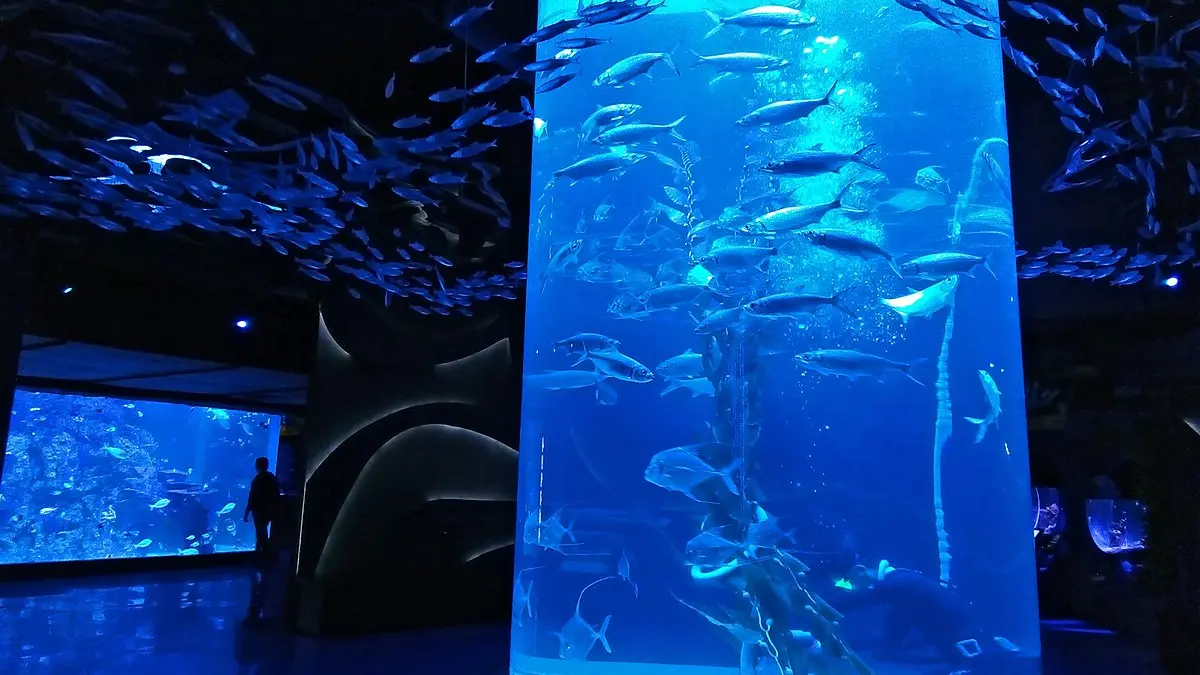 Aquarium fauna aquatic di Jakarta Aquarium Safari. (Istimewa)