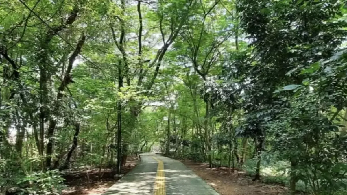 Hutan Kota Srengseng, hutan rindang di tengah jantung kota. (Istimewa)