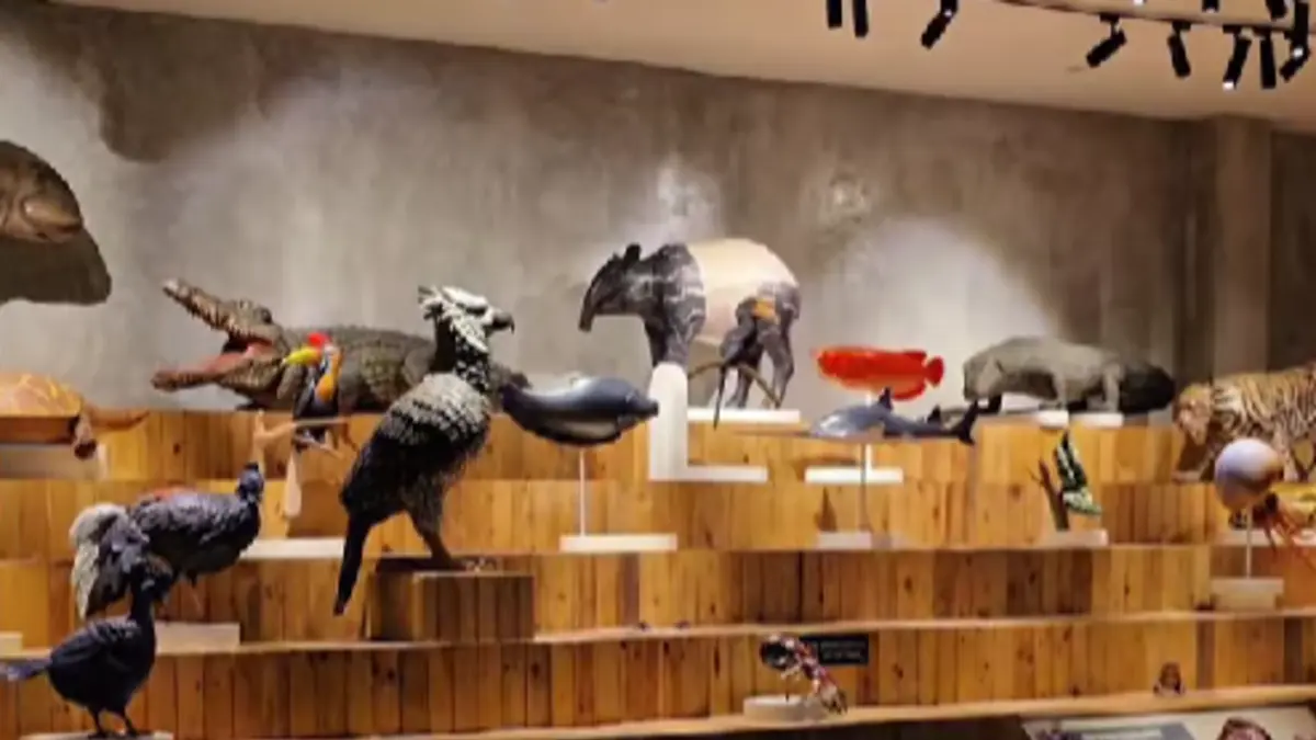 Koleksi replika hewan di area indoor Animalium. (Instagram)
