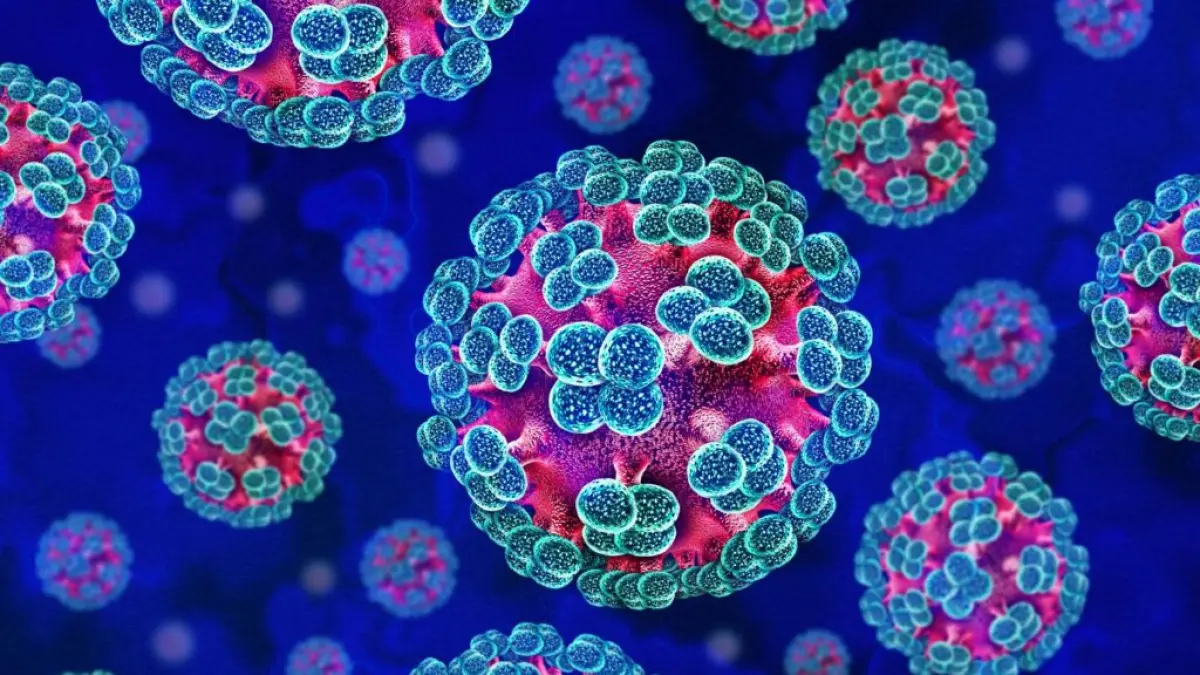 Hantavirus ramai jadi perbincangan setelah muncul kasus di kapal pesiar MV Hondius yang membuat penumpangnya jatuh sakit dan memakan korban jiwa hingga memicu perhatian publik. (UK Health Security Agency)