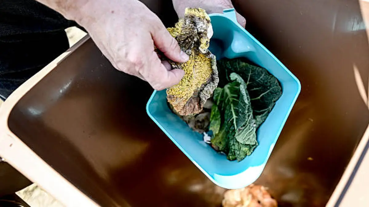 Mengurangi food waste menjadi salah satu langkah sederhana yang bisa dilakukan setiap orang untuk membantu lingkungan. (Getty Images)