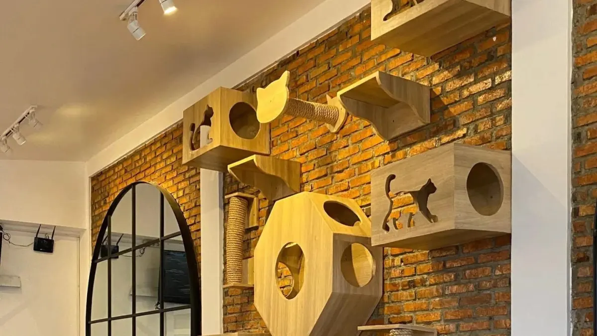 Superbee Pet Care dan Cat Cafe. (Instagram @superbeecats)