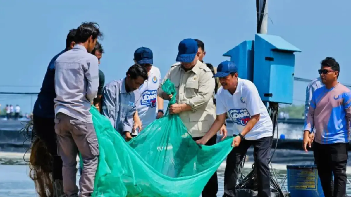 Presiden Prabowo Subianto melaksanakan panen raya udang dan meninjau kegiatan sortir hasil panen di lokasi tambak Budi Daya Udang Berbasis Kawasan (BUBK) Kebumen, Jawa Tengah, pada Sabtu, 23 Mei 2026. Foto: BPMI Setpres/Laily Rachev